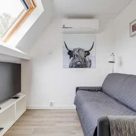 Apartment Wellness With Sauna And Jacuzzi