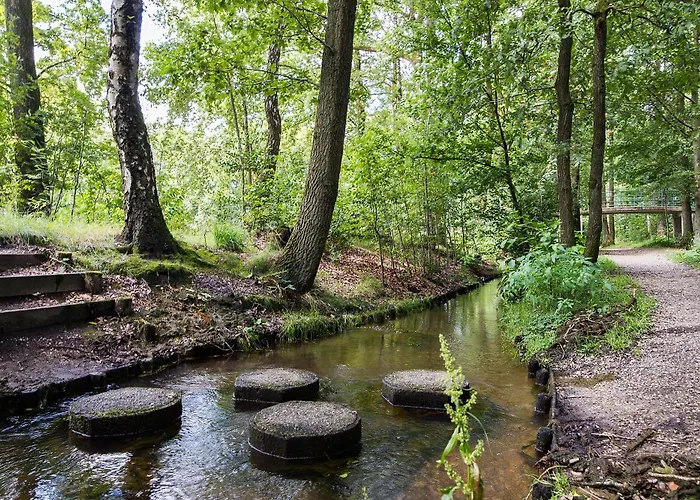 公寓 Wellness With Sauna And Jacuzzi