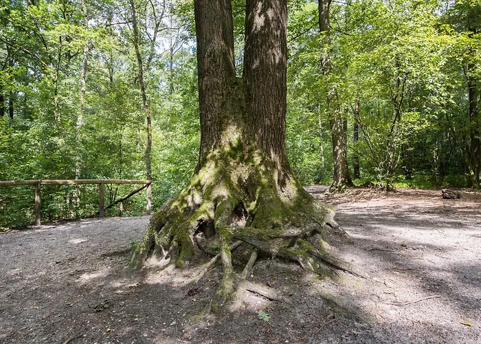 Apartman Wellness With Sauna And Jacuzzi