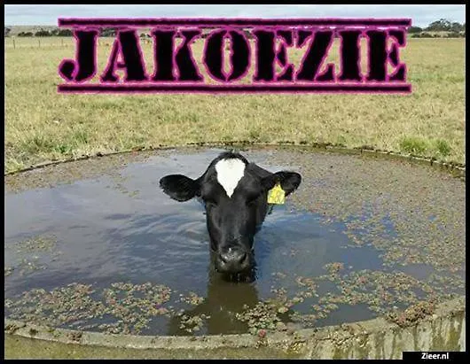 Wellness With Sauna And Jacuzzi Apeldoorn